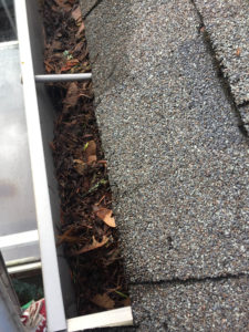 Gutter packed with wet leaves, pine needles, and debris beside asphalt roof shingles