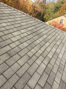 Clean gray asphalt shingle roof with autumn trees in the background