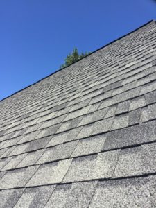 Clean gray asphalt shingle roof extending upward beneath a clear blue sky