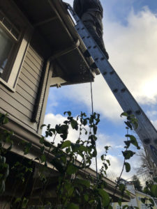 Worker on an extension ladder cleaning a roof gutter as water drains from the edge