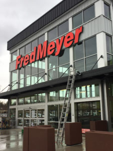 Fred Meyer storefront with large glass windows and an extension ladder